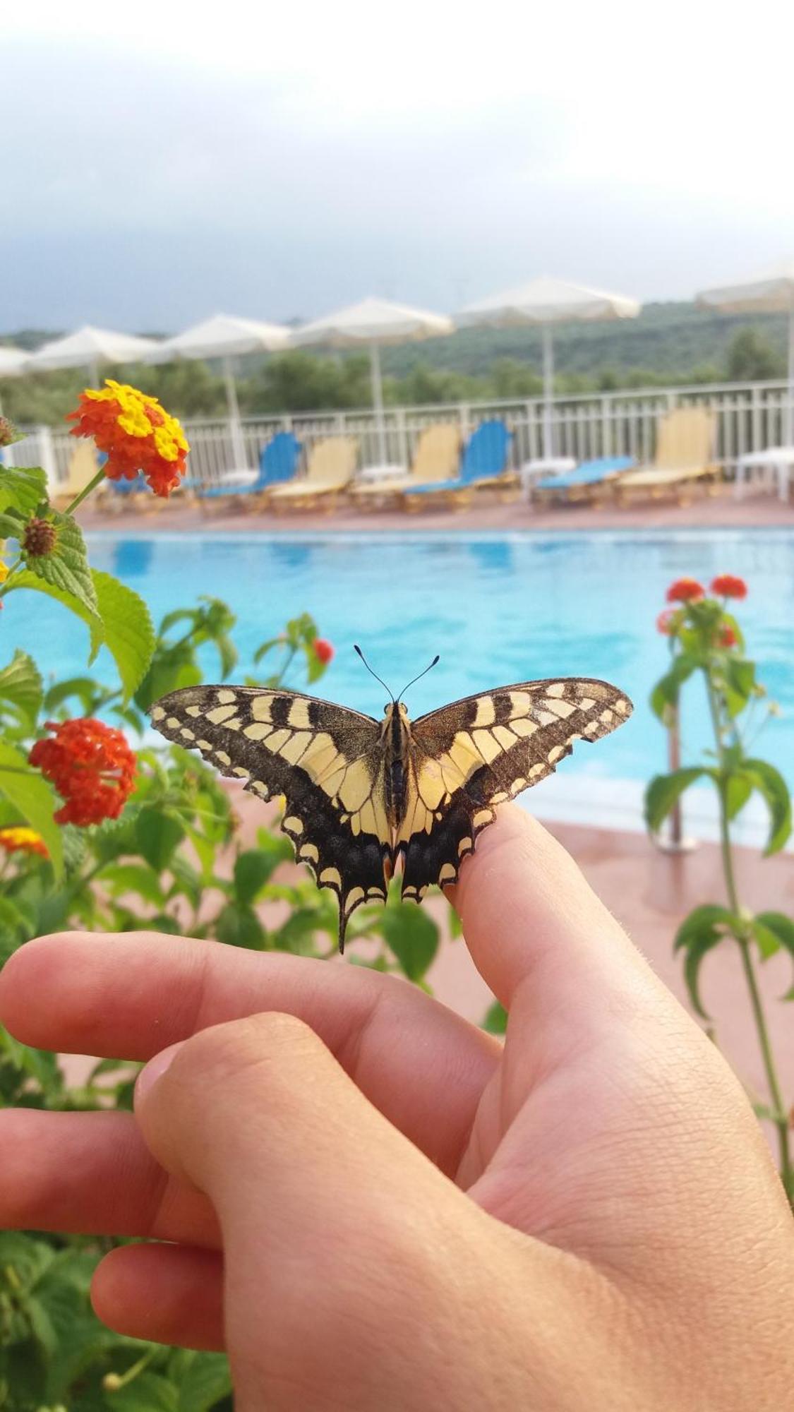 Calamon Apartments Επισκοπή Χανίων Εξωτερικό φωτογραφία