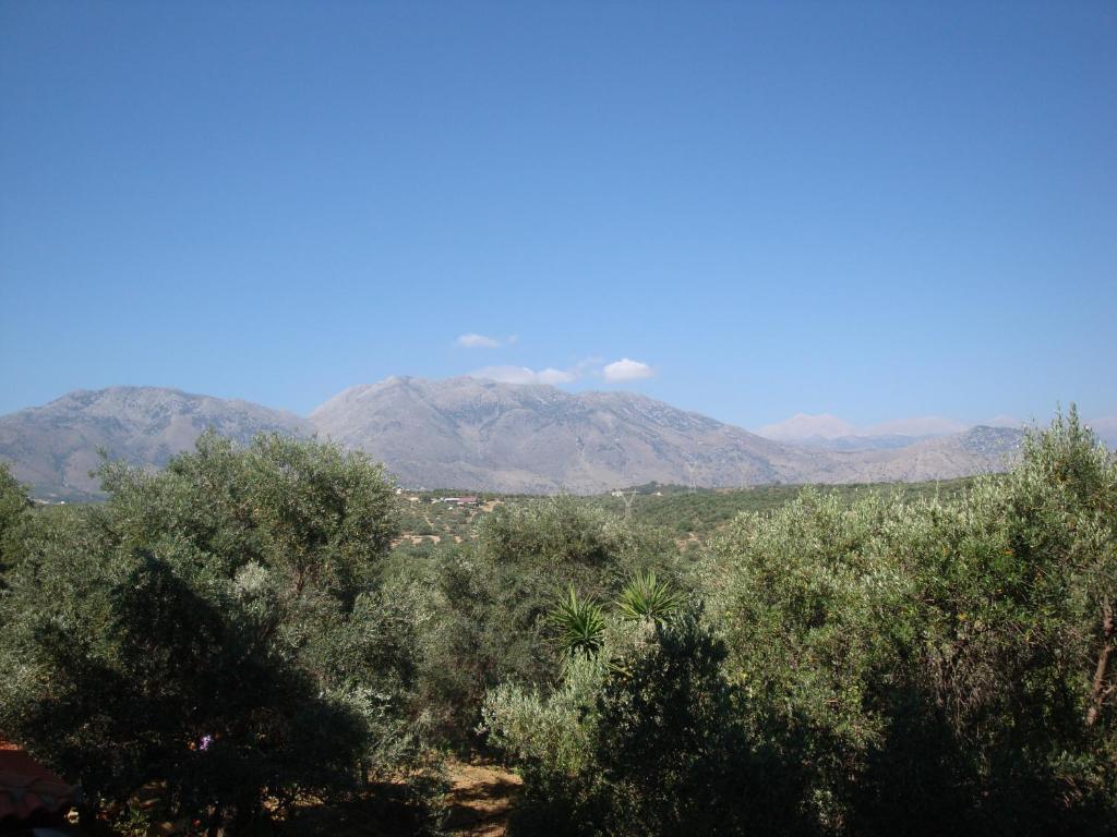 Calamon Apartments Επισκοπή Χανίων Εξωτερικό φωτογραφία