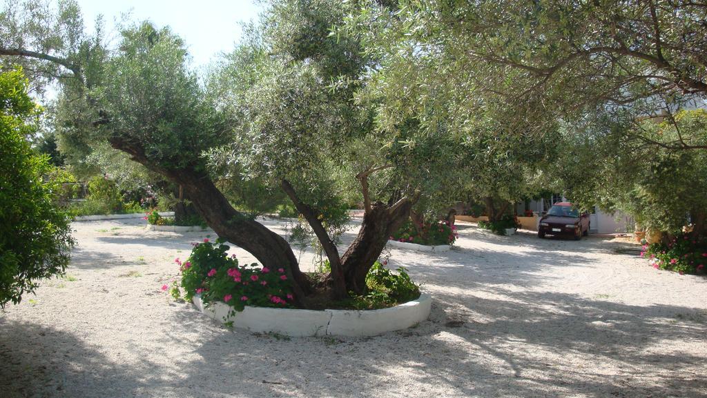Calamon Apartments Επισκοπή Χανίων Εξωτερικό φωτογραφία