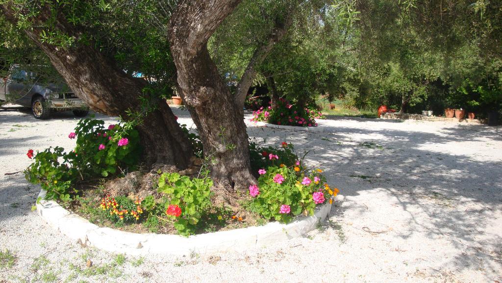 Calamon Apartments Επισκοπή Χανίων Εξωτερικό φωτογραφία